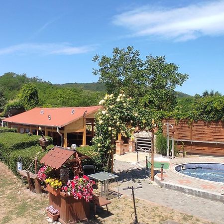 Guesthouse Ilona Velky Kamenec Dış mekan fotoğraf