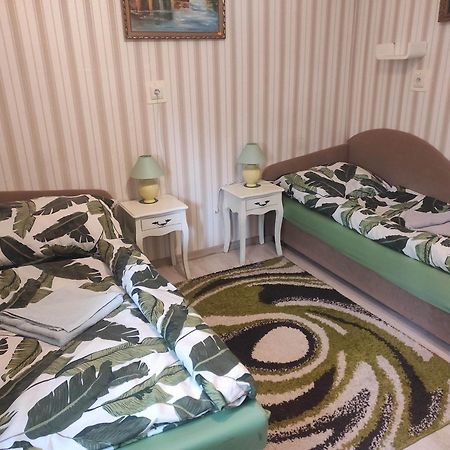Guesthouse Ilona Velky Kamenec Dış mekan fotoğraf