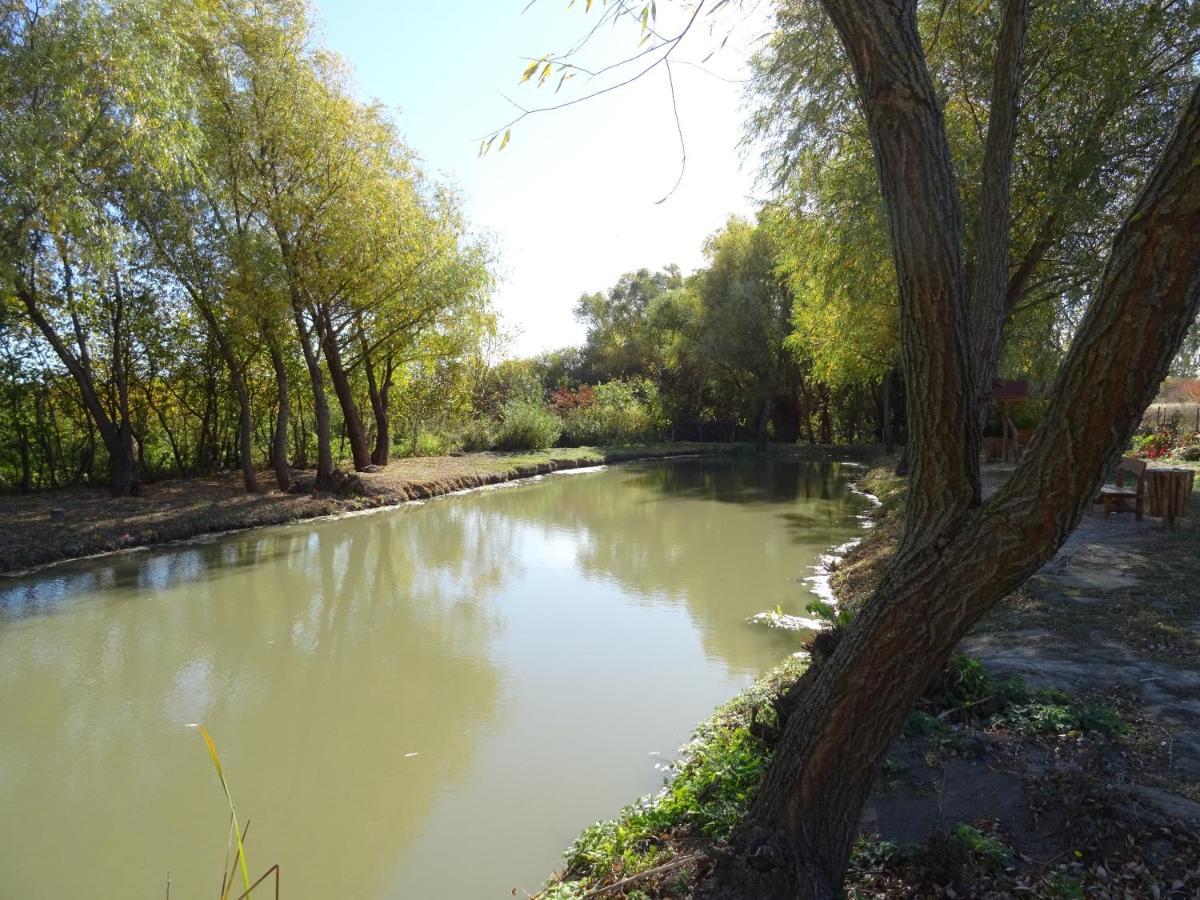 Guesthouse Ilona Velky Kamenec Dış mekan fotoğraf