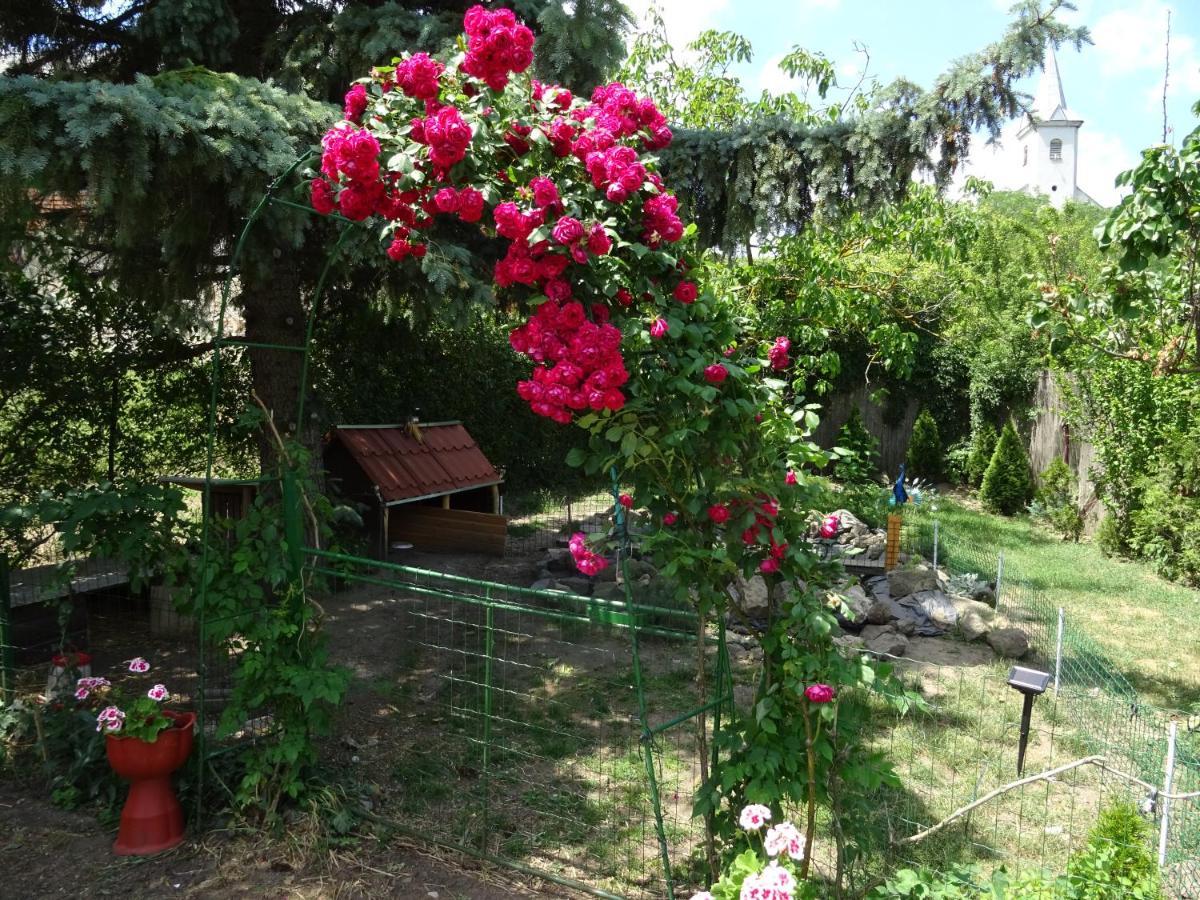 Guesthouse Ilona Velky Kamenec Dış mekan fotoğraf