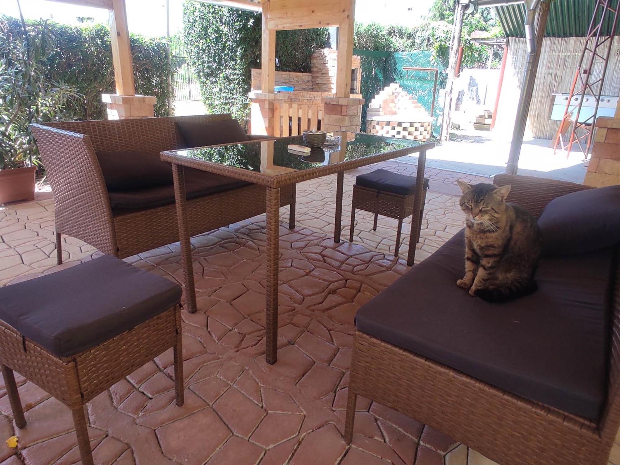 Guesthouse Ilona Velky Kamenec Dış mekan fotoğraf