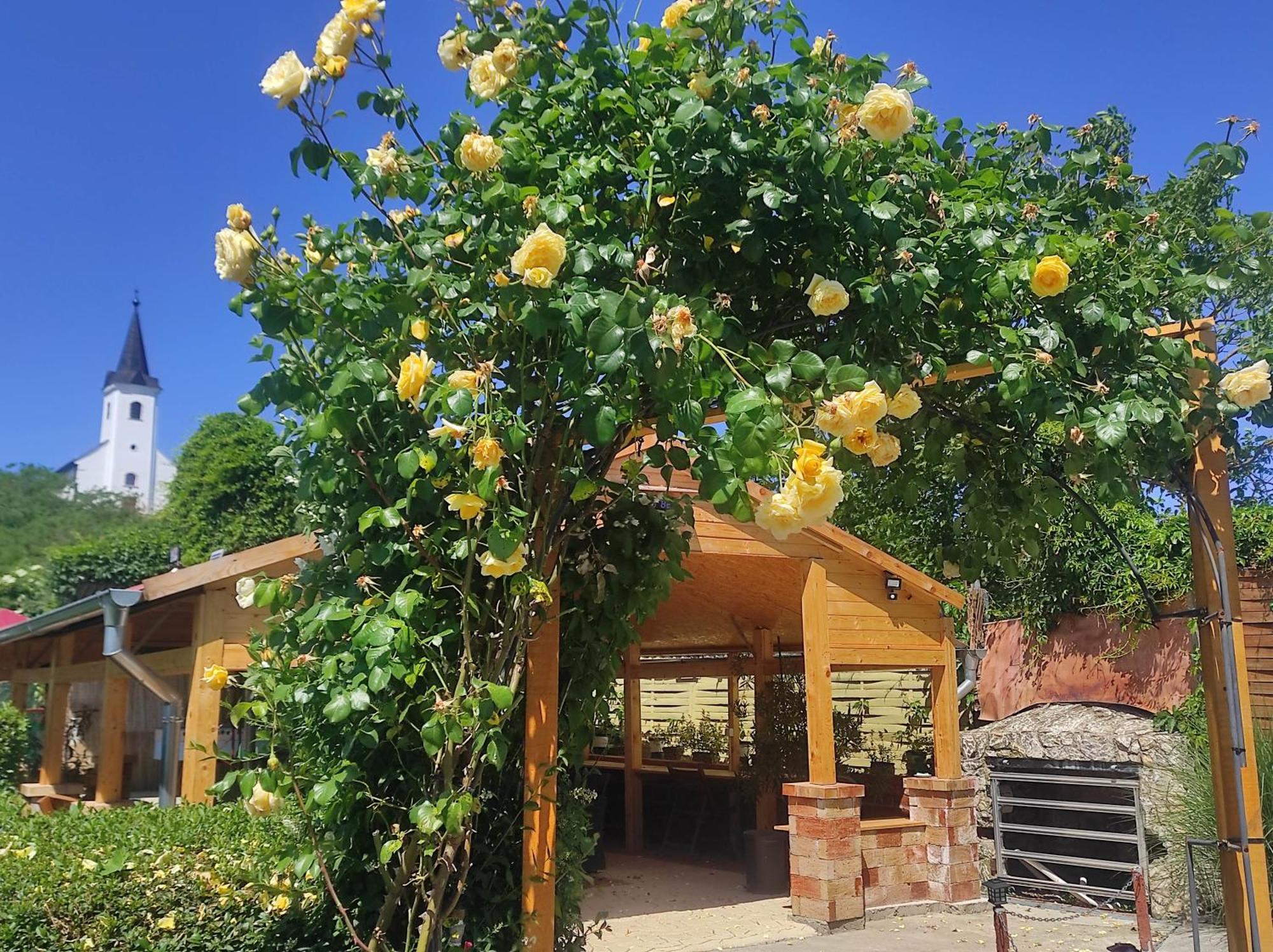 Guesthouse Ilona Velky Kamenec Dış mekan fotoğraf