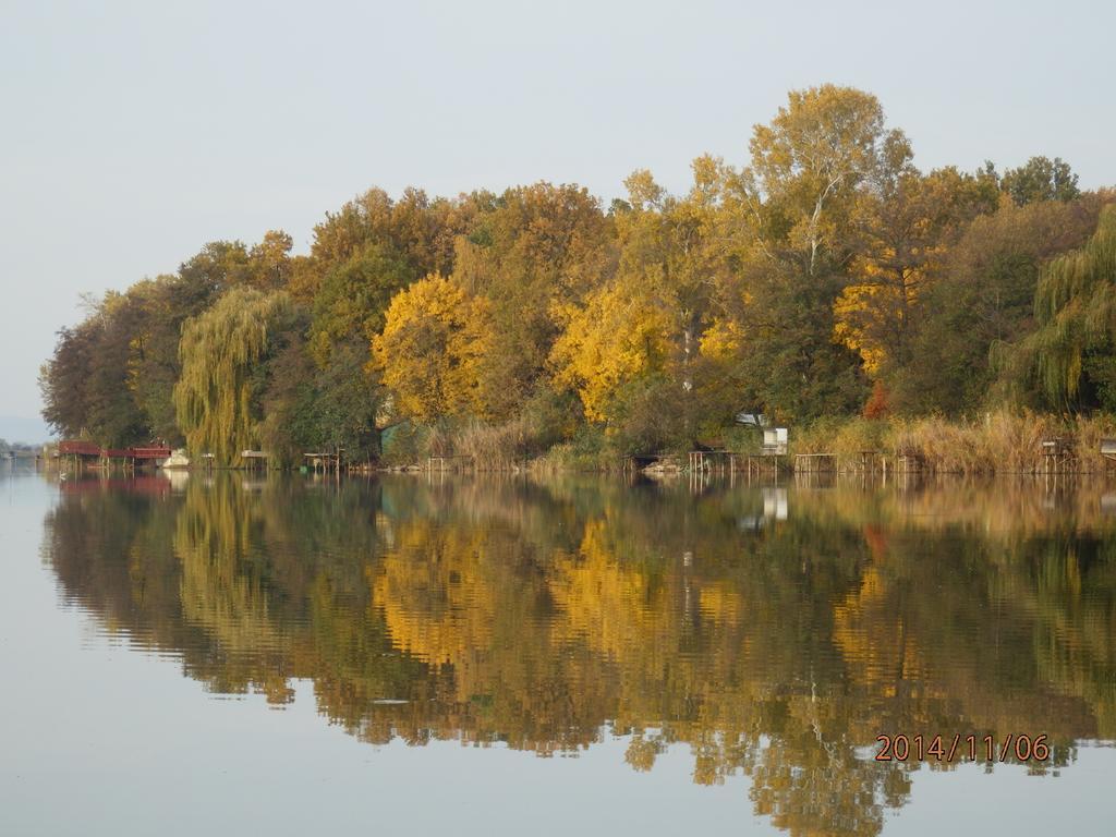 Guesthouse Ilona Velky Kamenec Dış mekan fotoğraf