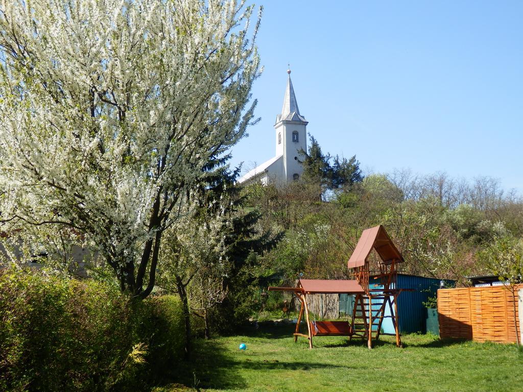 Guesthouse Ilona Velky Kamenec Dış mekan fotoğraf